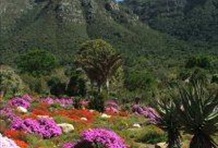 Full Day Cape Point and Peninsula